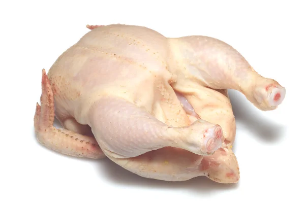 Raw chicken isolated — Stock Photo, Image