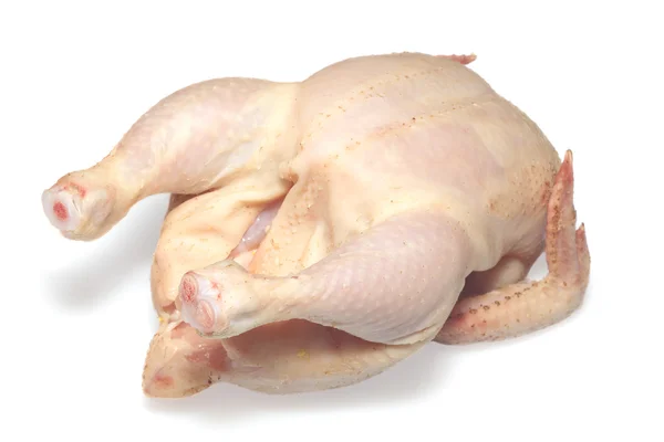 Raw chicken isolated — Stock Photo, Image