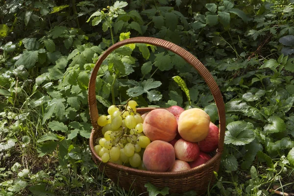 Brzoskwinie, winogrona i jabłka — Zdjęcie stockowe