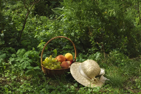 stock image Peaches, grape and apples