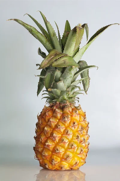 Beyaz üstüne ananas