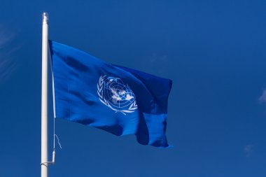 Birleşmiş Milletler bayrağı