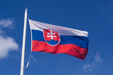 Slovakya bayrağı