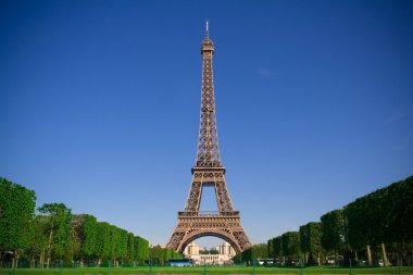 The Eiffel Tower. Paris, France clipart