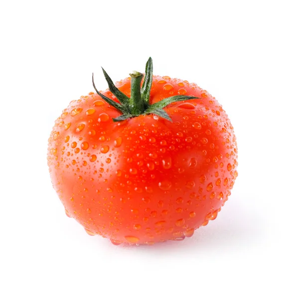 Rote Tomate mit Wassertropfen — Stockfoto
