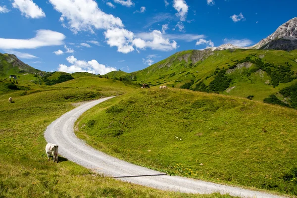Alpina landskap och mountain road — Stockfoto