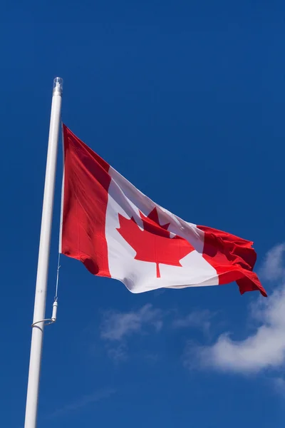 stock image Flag of Canada