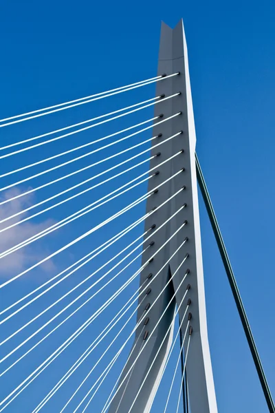 Erasmus Bridge. Pilons — стокове фото