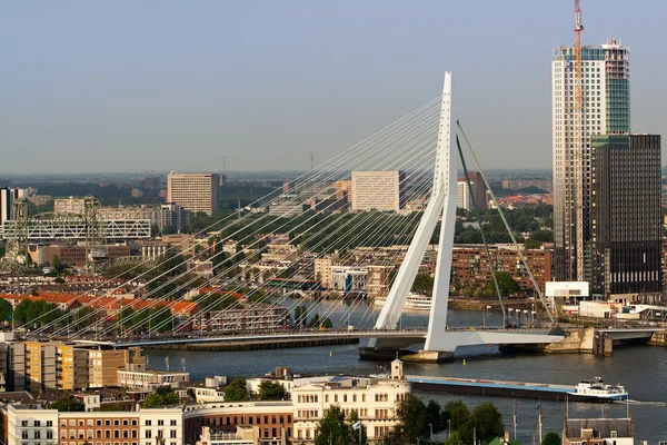 伊拉斯莫斯桥梁从欧洲之桅 — 图库照片