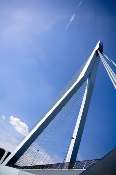 Back view of Erasmus Bridge — Stock Photo, Image