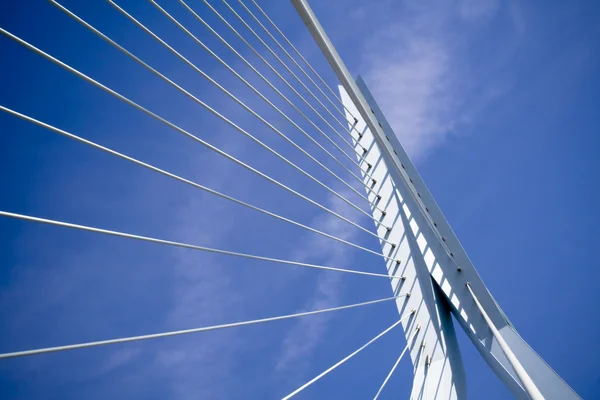 stock image Erasmus Bridge. Details