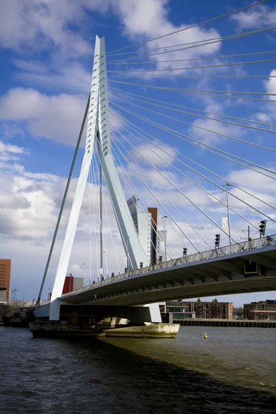 Мост Эразмус в Роттердаме — стоковое фото