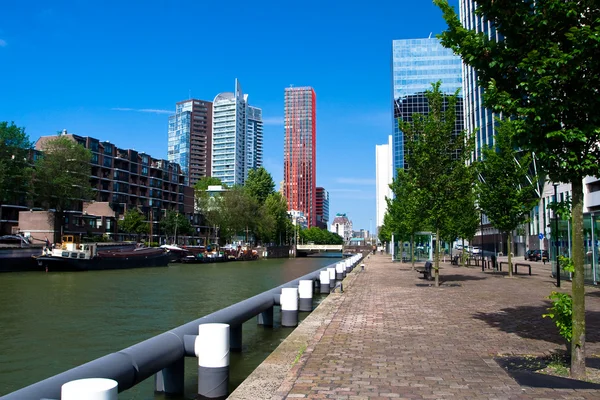住宅建筑。鹿特丹市中心 免版税图库图片