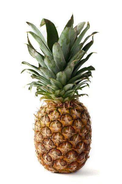 stock image Fresh isolated ananas