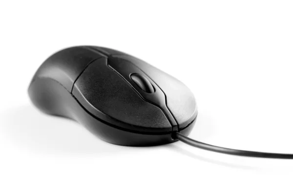 Black mouse on white background — Stock Photo, Image