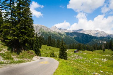 yol ve yeşil çayırlar