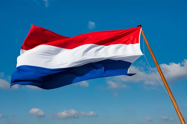 杆上荷兰的旗子 — 图库照片