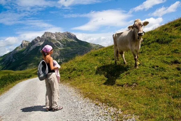 Flicka och ko i Alperna — Stockfoto