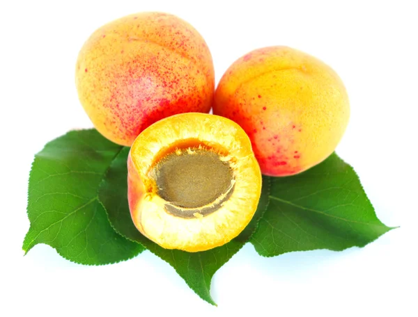 Aprikosen mit einem Blatt — Stockfoto