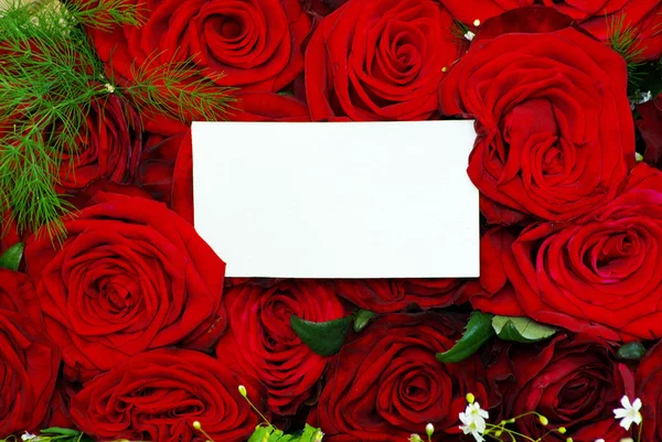 stock image Message on roses