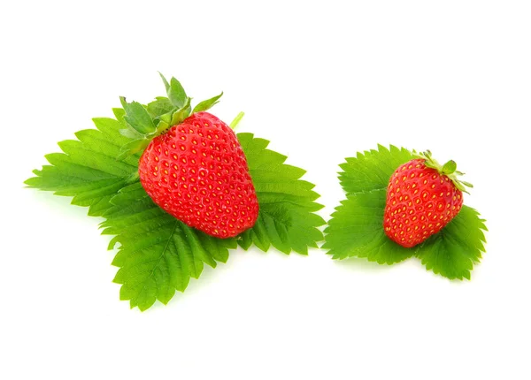 Jordbær, friske - Stock-foto