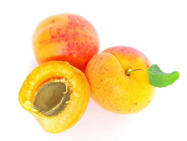 Aprikosen auf Weiß — Stockfoto
