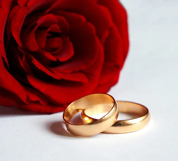 กุหลาบและแหวนแต่งงาน — ภาพถ่ายสต็อก