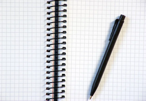 Ноутбук с ручкой — стоковое фото