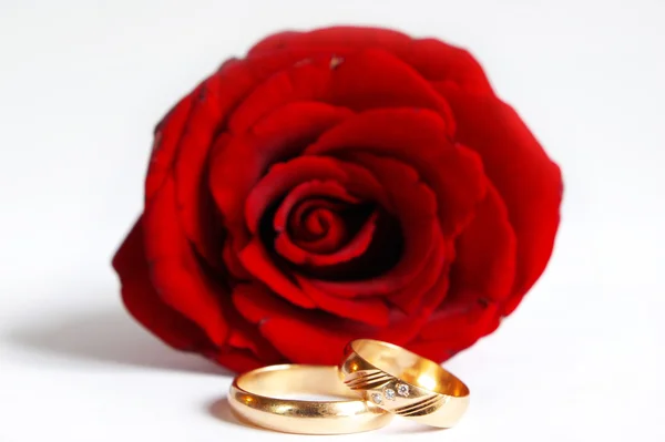 Rose y anillos de boda —  Fotos de Stock
