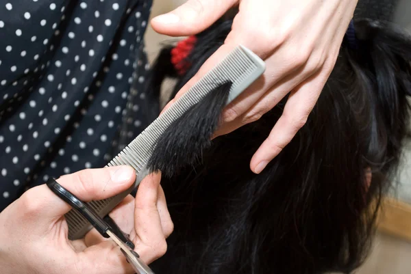 stock image Cutting hair close-up