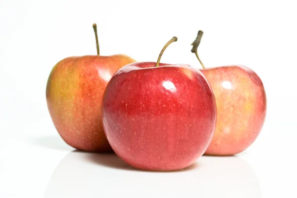 Красные яблоки изолированы на белом фоне — стоковое фото