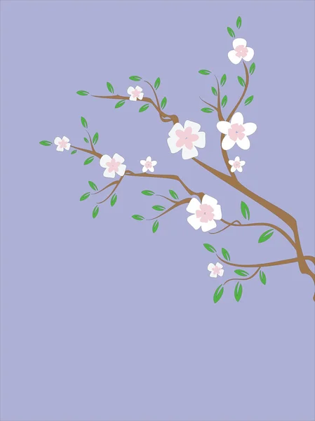 Blütenkarte — Stockfoto