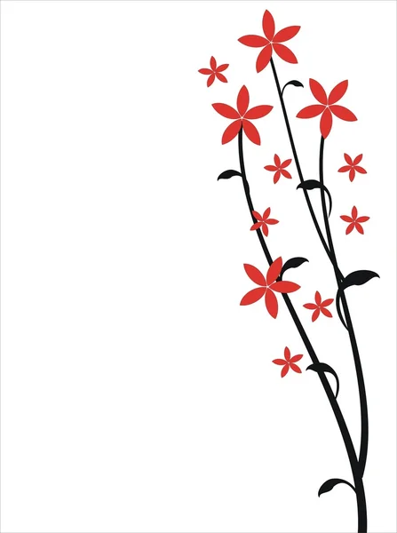 Tarjeta floral — Foto de Stock