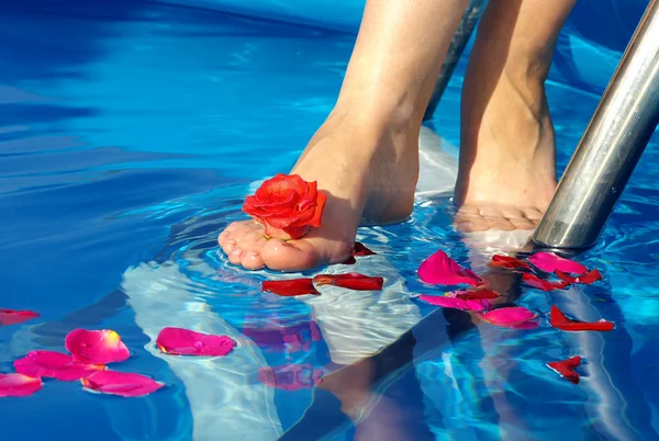 Leg with a rose — Stock Photo, Image