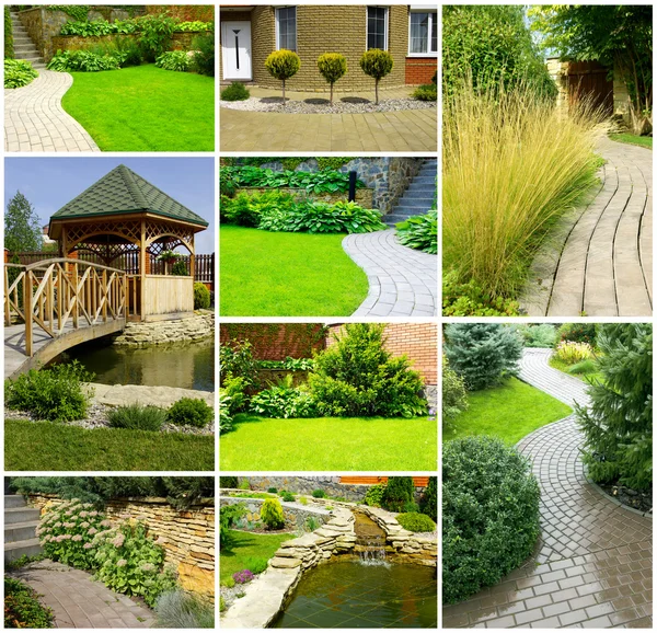Garden collage — Stock Photo, Image