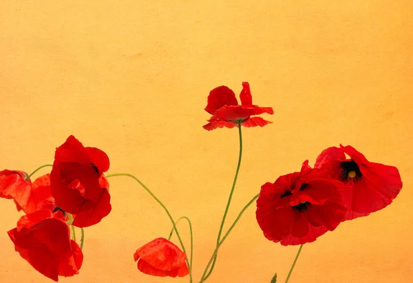 Grunge Poppies Hintergrund — Stockfoto