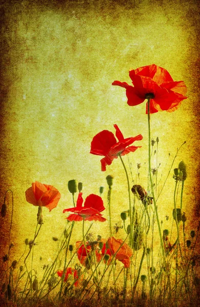 Grunge Hintergrund Blumen — Stockfoto