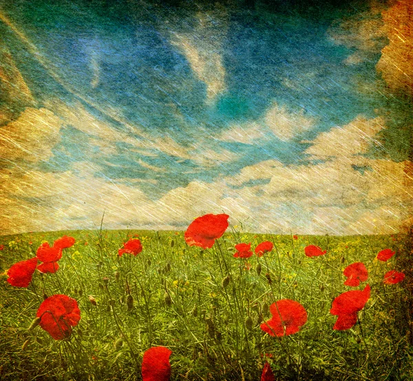 Grunge Poppies Hintergrund Stockbild