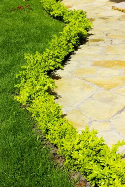 Stone path clipart