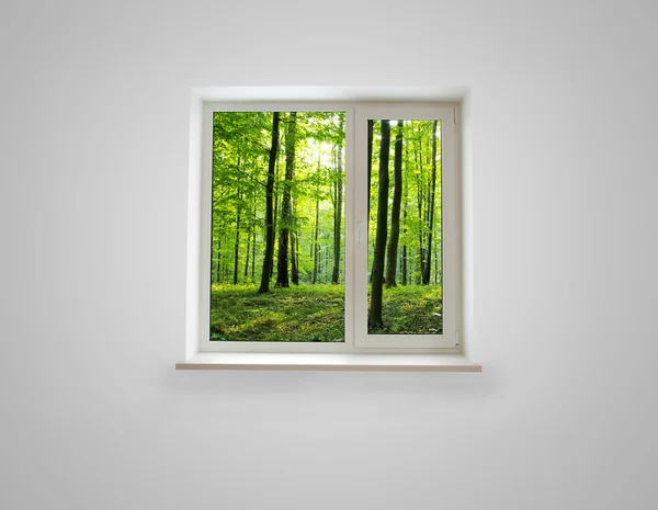 Okno v lese — Stock fotografie