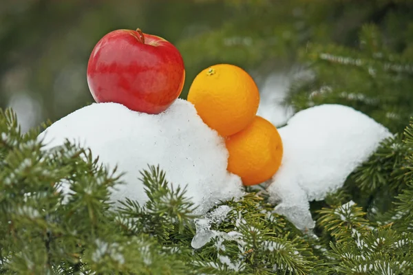 Яблоко на снегу — стоковое фото