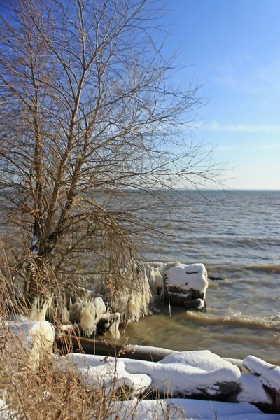 Kış nehir banka. — Stok fotoğraf