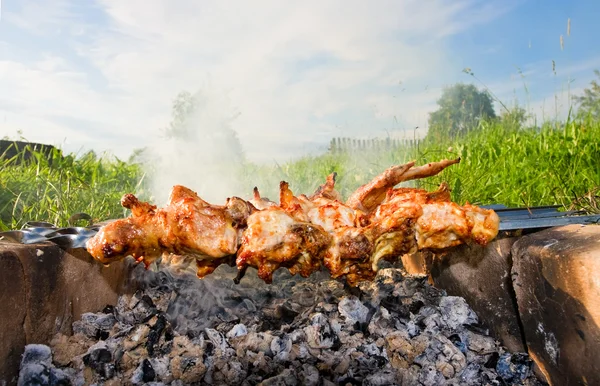 stock image Shish kebab