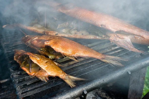 stock image Homemade fish smoking