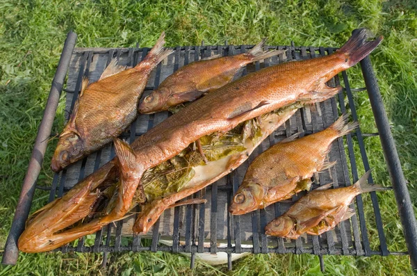 Fumar peixe caseiro — Fotografia de Stock