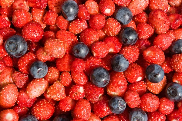 Berries background — Stock Photo, Image