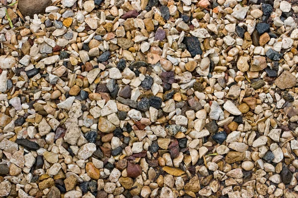 Fondo de piedras pequeñas — Foto de Stock