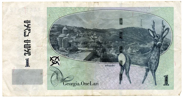 Gruzja. jeden lari — Zdjęcie stockowe