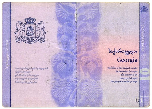 Paszport z Gruzji — Zdjęcie stockowe