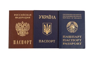 Pasaportlar